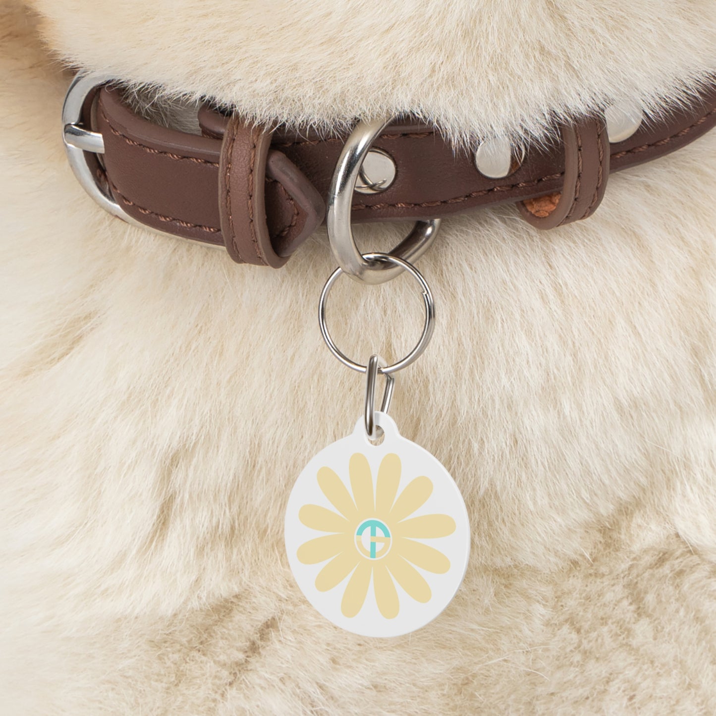 TONY G Pet Tag, featuring TONY Gerbera #3 and TG Logo #3 Monogram